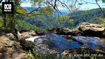Environmental Defenders Office funding completely cut in Queensland