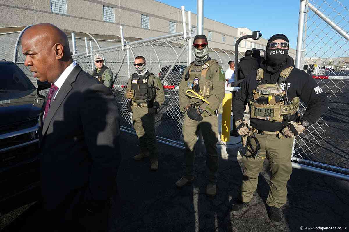 ICE admits nine people have died in custody this year as it requests more funding