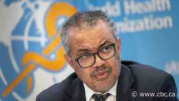 WHO cuts management team in half, scales back operations