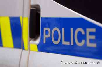 Double stabbing suspect shot by armed police