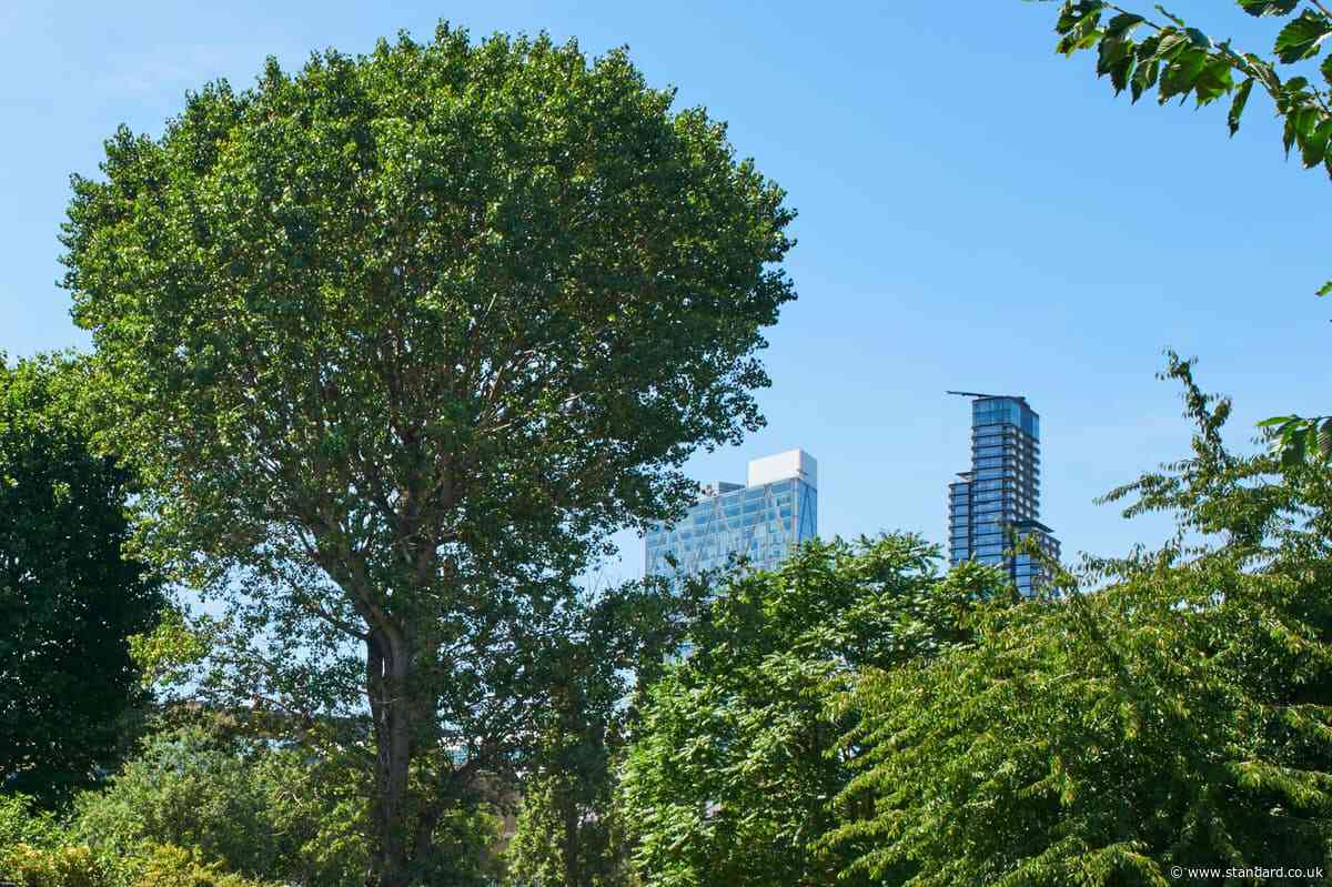Climate change is damaging capital's trees, experts warn London Assembly