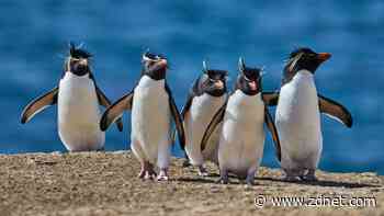 The 5 most customizable Linux desktop environments - when you want it your way