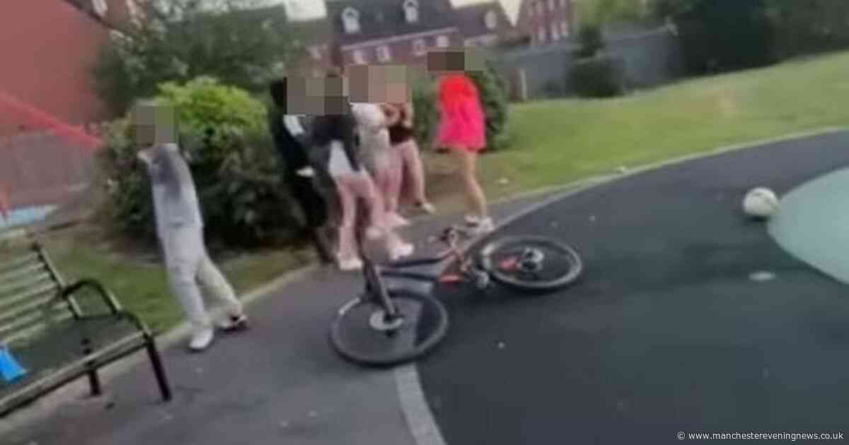 'My teenage daughter was jumped at the park and covered in blood - they stole her phone and filmed it'