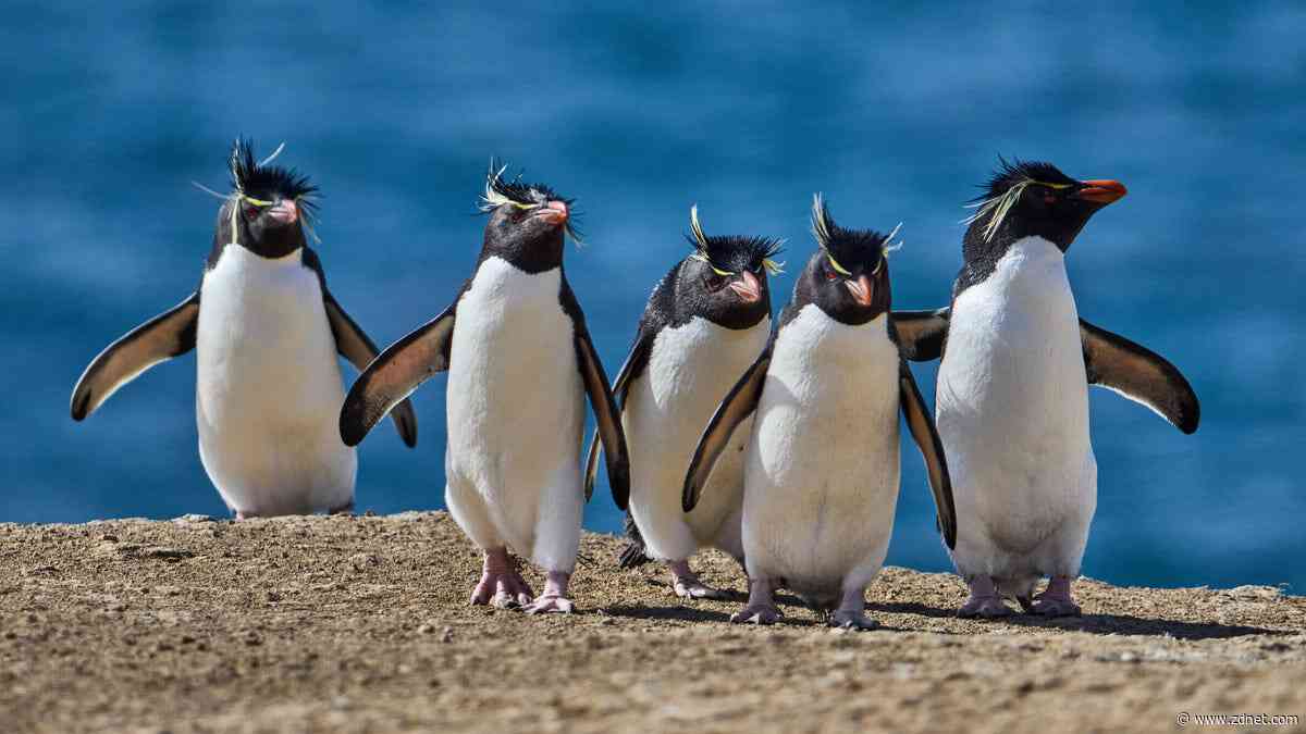 The 5 most customizable Linux desktop environments - when you want it your way