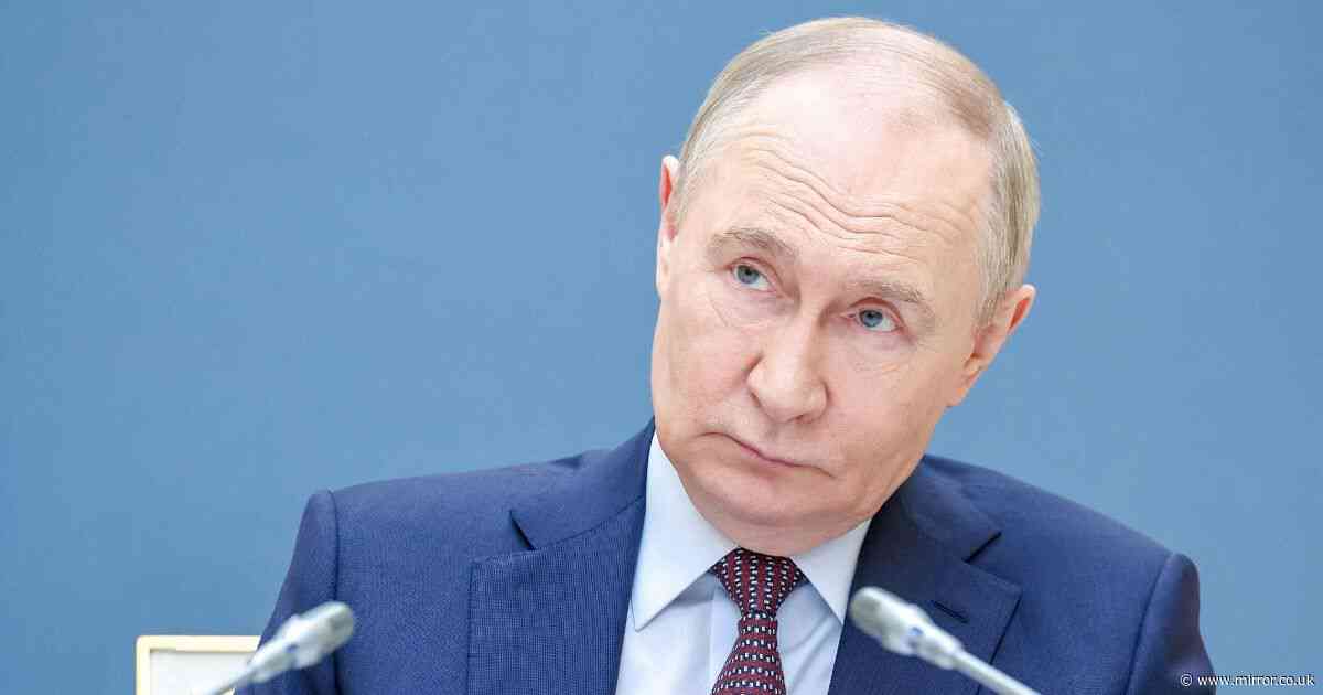 Vladimir Putin 'makes decision' on if he'll attend Ukraine peace talks in Turkey