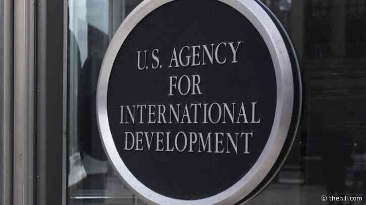 USAID contractor sought attorney to investigate dismantled agency's former employees