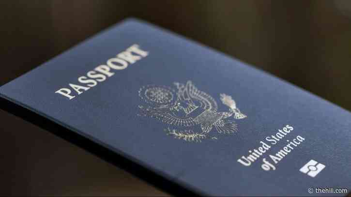 Passport verification unavailable amid outage