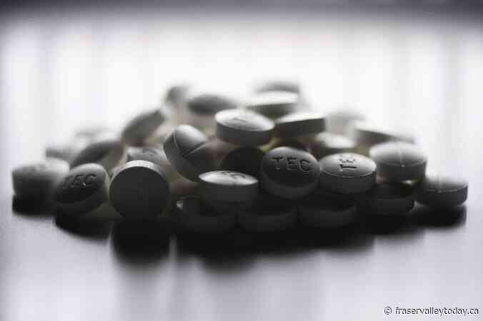 Eby defends investigation into leaked documents that alleged opioid diversion