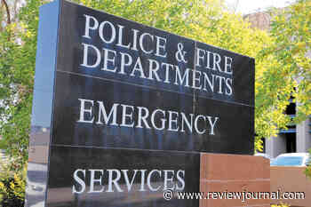 ‘I’d rather be calling the police’: Advocates worry over Henderson animal control restructuring