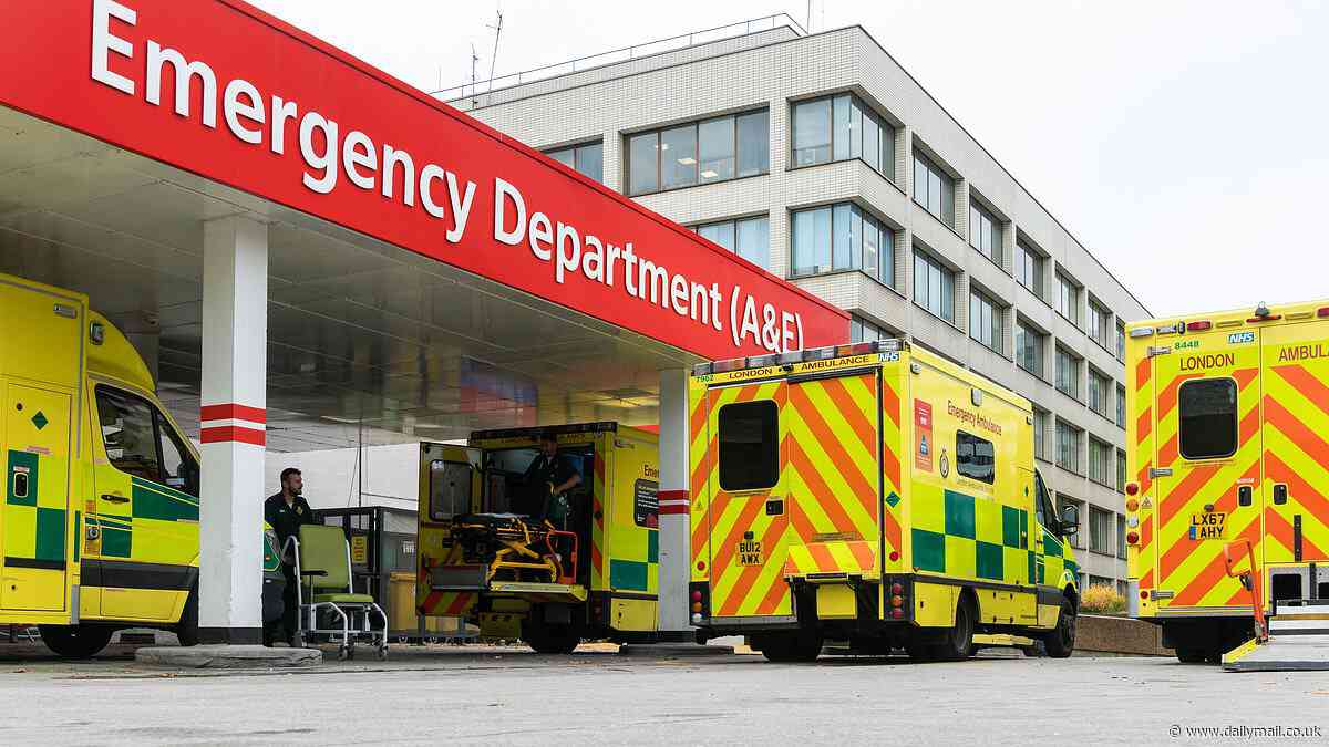 Needless deaths due to long waits in A&E are like TWO plane crashes every week, damning study suggests