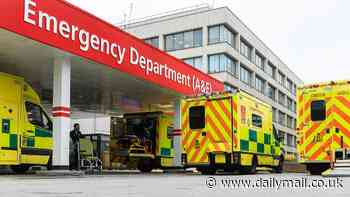 Needless deaths due to long waits in A&E are like TWO plane crashes every week, damning study suggests