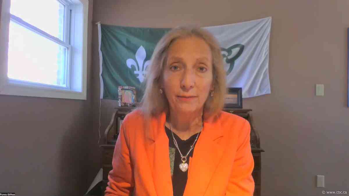 Health units need more funding to fight measles, NDP critic says