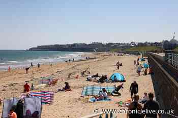 Full list of North East beaches that have won Blue Flag awards including in Northumberland and North Tyneside