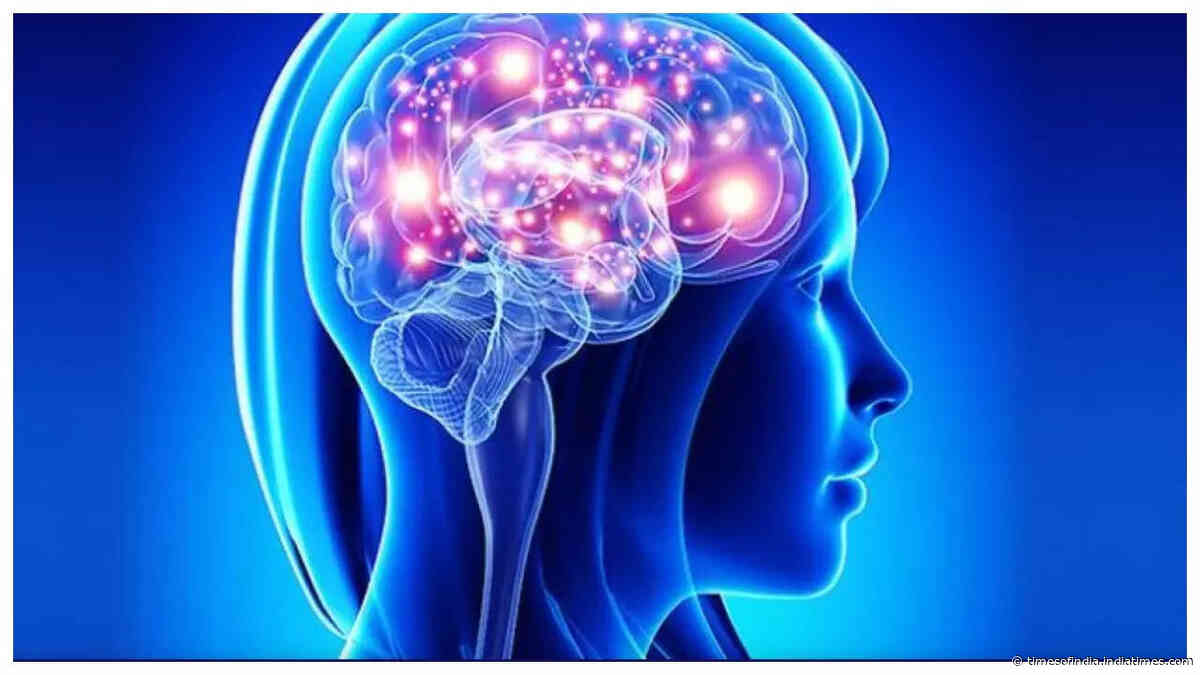 What is the difference between and Dementia, Alzheimer's and Parkinson's