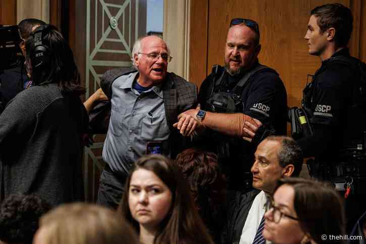 Ben & Jerry's co-founder removed from RFK Jr. hearing for protesting