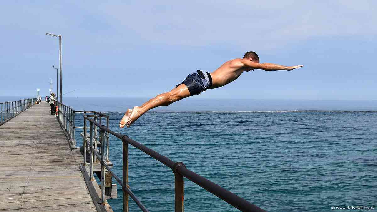 Swimmer mauled by a shark during swim near Port Noarlunga jetty