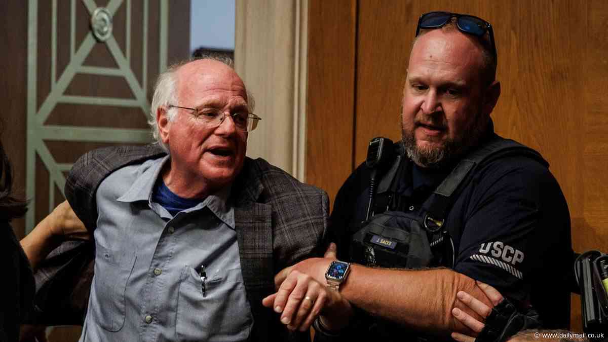 Wild moment Ben & Jerry's co-founder Ben Cohen is dragged out of RFK Jr. hearing for screaming bold claim