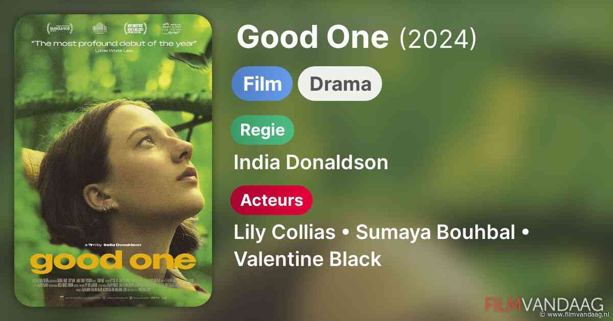 Good One (2024, IMDb: 6.6)