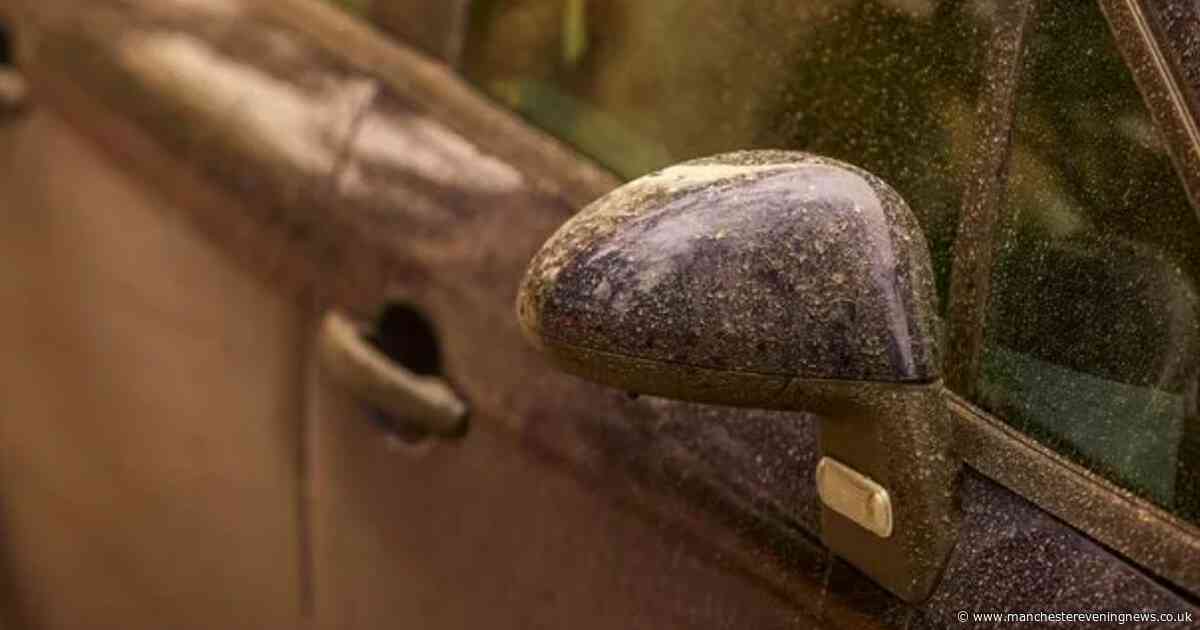 Debenhams' £30 'wonder buy' eradicates summer dust from cars in seconds