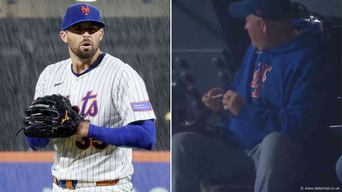 New York Mets fans flee in horror as animal wreaks havoc in the stands at Citi Field