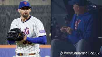 New York Mets fans flee in horror as animal wreaks havoc in the stands at Citi Field