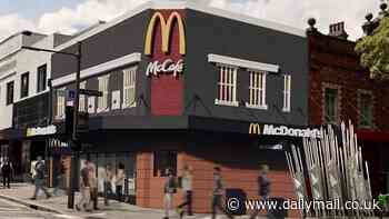 Has the nanny state finally gone too far? Neighbourhood war erupts over proposed McDonald's restaurant - and why even the police want it gone