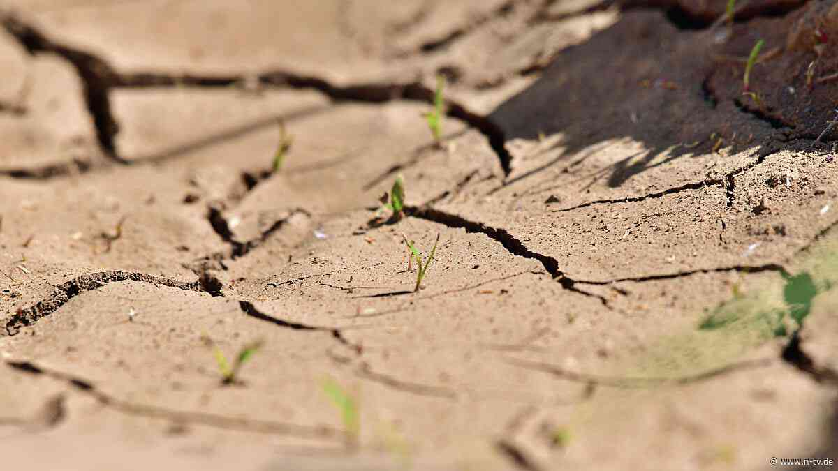 Trockenheit auf dem Acker: Wie KI Landwirten aus der Dürre-Krise helfen kann