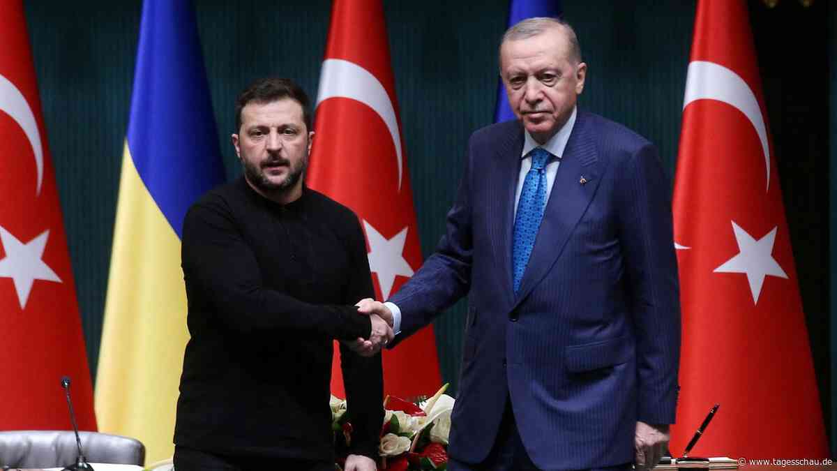 Vermittlung im Ukraine-Krieg: Warum Erdoğan eine Schlüsselrolle hat