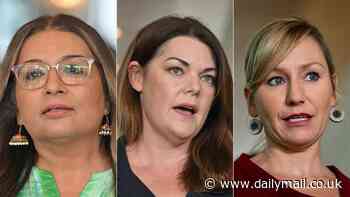 Revealed: The woman to lead the Greens after Adam Bandt's humiliating loss devastated the party