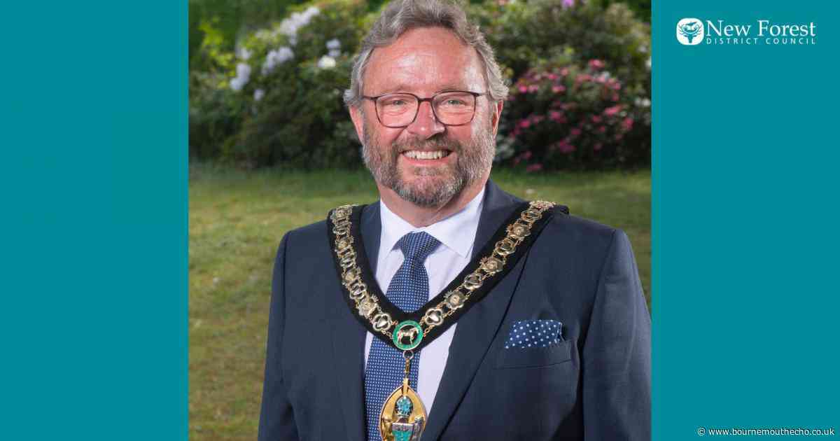 New Forest District Council elects new chairman
