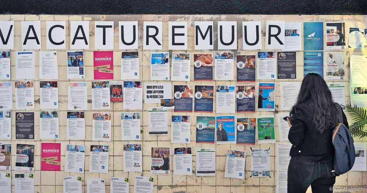 Werkloosheid daalt licht naar 3,8%, minder WW-uitkeringen bij landbouw en in horeca
