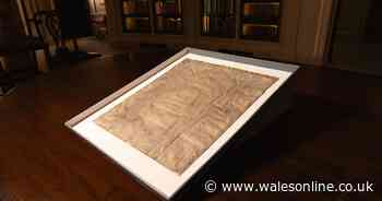 Magna Carta 'copy' sold for $27.50 is actually original worth millions