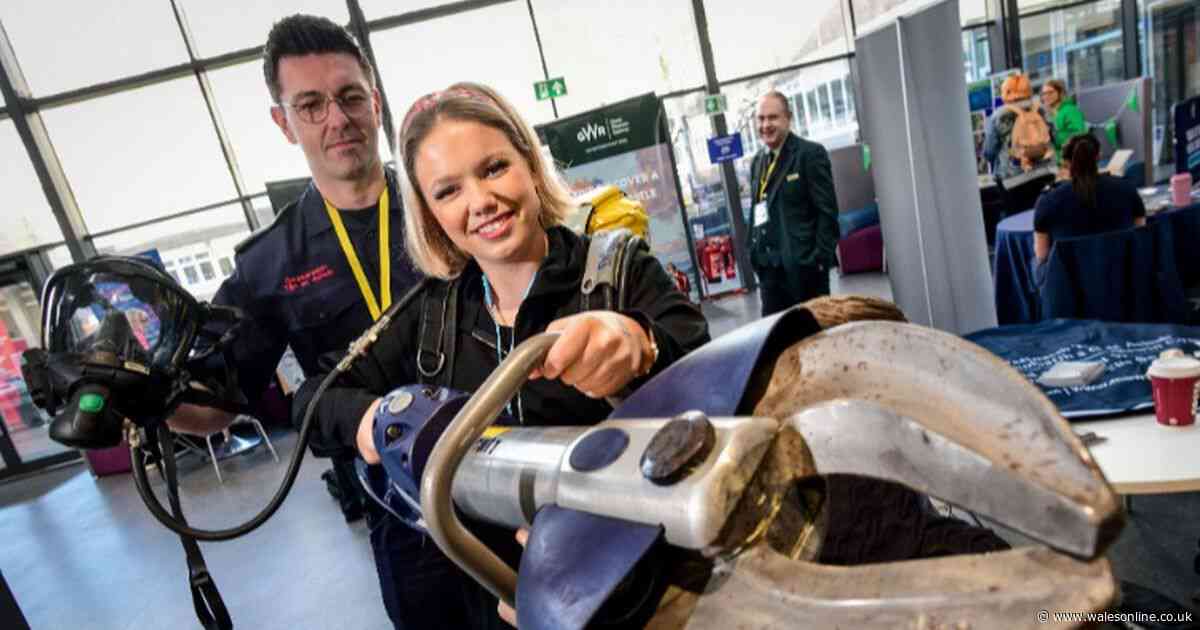 AD FEATURE: Apprenticeships: driving skills, careers and business growth