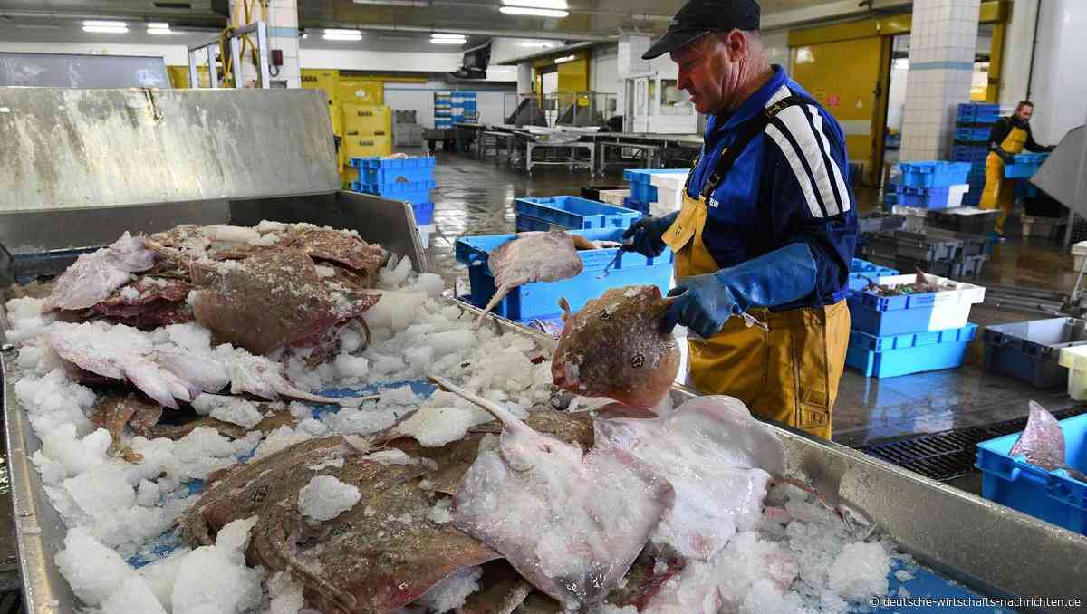 Europa will Verteidigungspakt – aber Frankreich kämpft um Fische