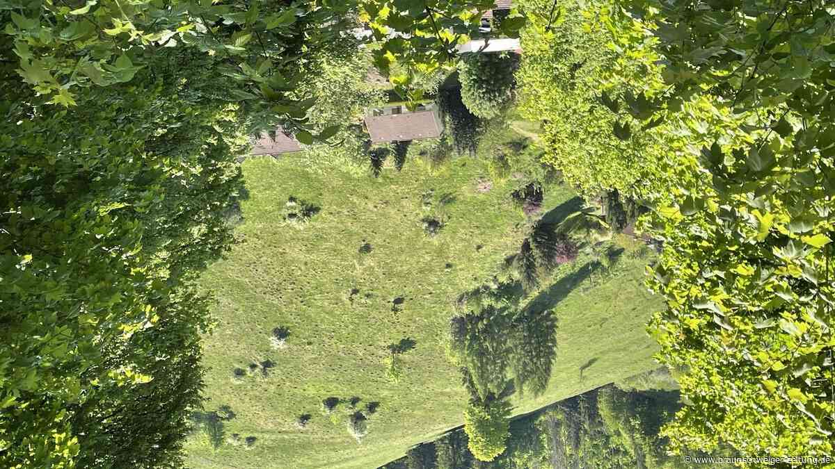 Kleiner Ort im Harz wächst zu: Die Lerbacher sorgen sich um ihr Dorf