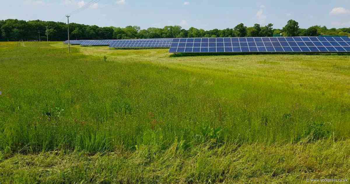 'Devastated' campaigners may appeal against solar farm 'as big as Durham'