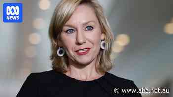 Larissa Waters becomes Greens leader in 'consensus' decision