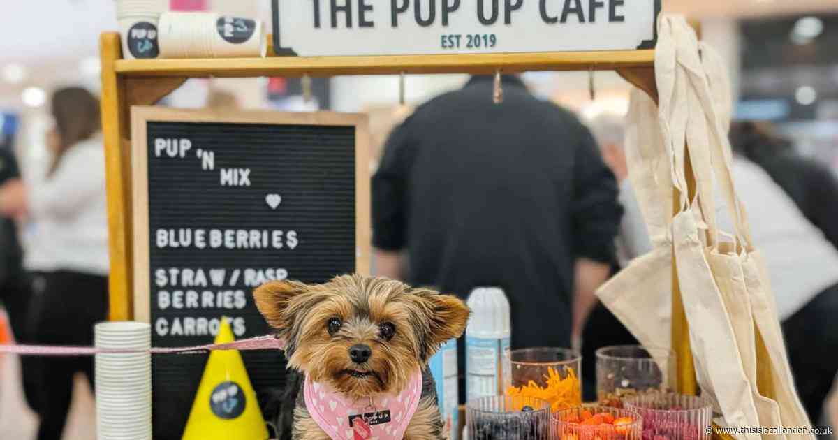Shopping centre in Harlow to host free event for dogs and their owners