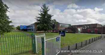 Police update on video of alleged 'schoolboy attack' - and investigate second incident