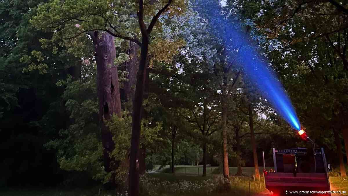Experte: Kreis Gifhorn wird wieder EPS-Hotspot Niedersachsens