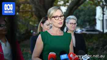 'Now the Labor Party have a choice': Greens pick leader as Tim Wilson anxiously waits