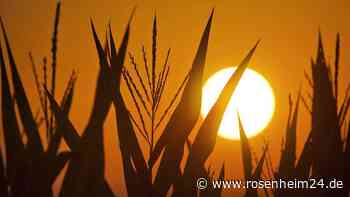 Wettermodelle warnen: Droht uns der Hitze-Hammer im Sommer 2025?