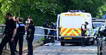 Police refer themselves to watchdog as man shot after stabbing