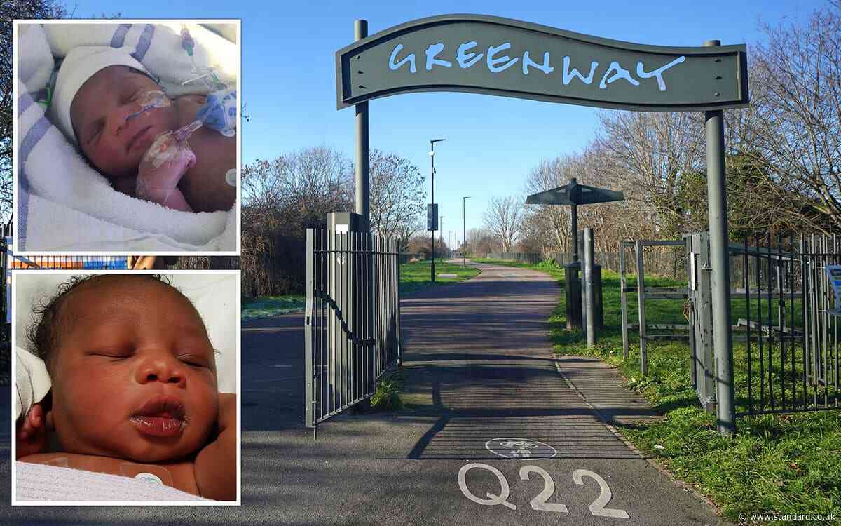 Search for mother of three abandoned babies narrows to 400 homes in east London