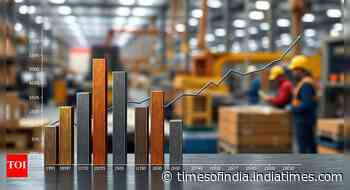 Metals to get expensive in upcoming months pushing WPI: Report