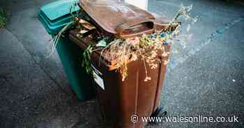 Nine things you should never put in your garden waste bin or face a fine