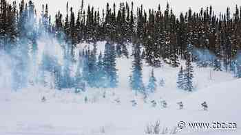 Canada's military plans to be in the Arctic 'on a near permanent basis,' says commander