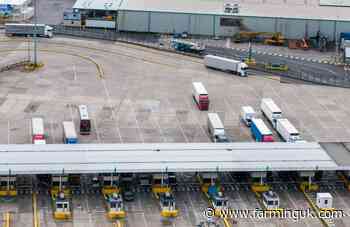 Foot-and-mouth controls eased on German imports but EU ban remains