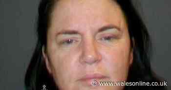 Drug courier posing as carer transported drugs from London to Wales