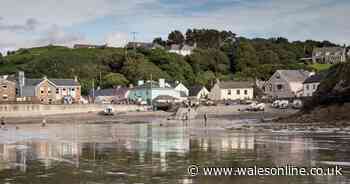 Coastal village in Wales has pint-sized cove, proper seaside pub and next-level seafood